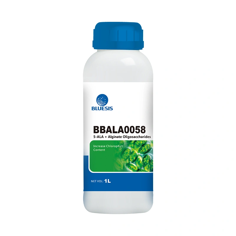 5-ALA + Alginate Oligosaccharides