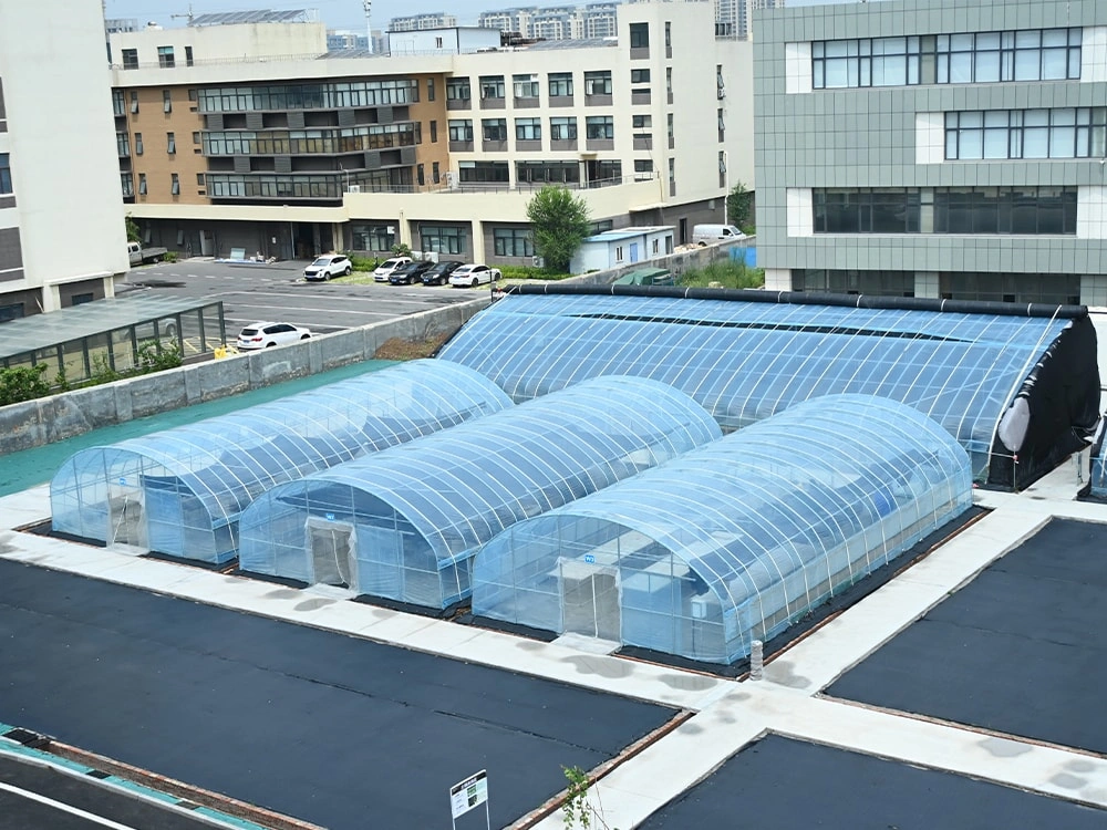 Smart Greenhouse System